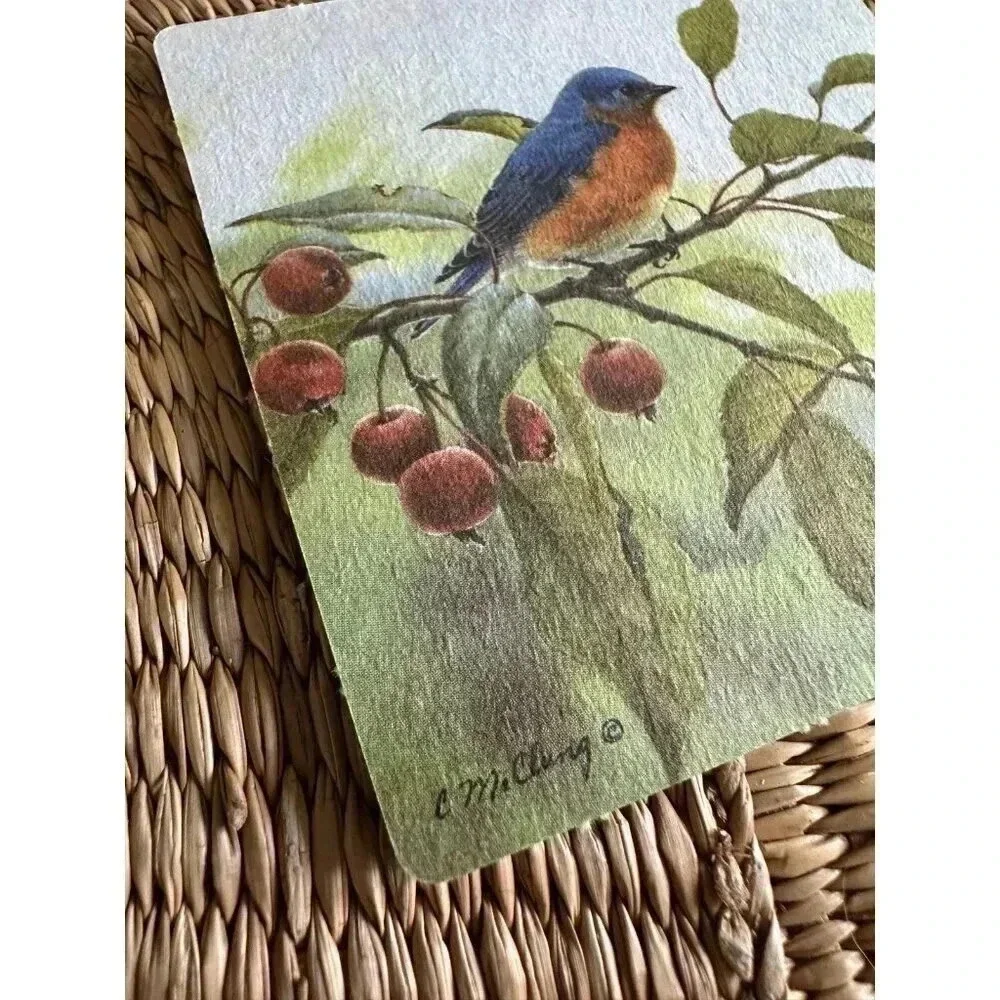 8 Bird paper Coasters